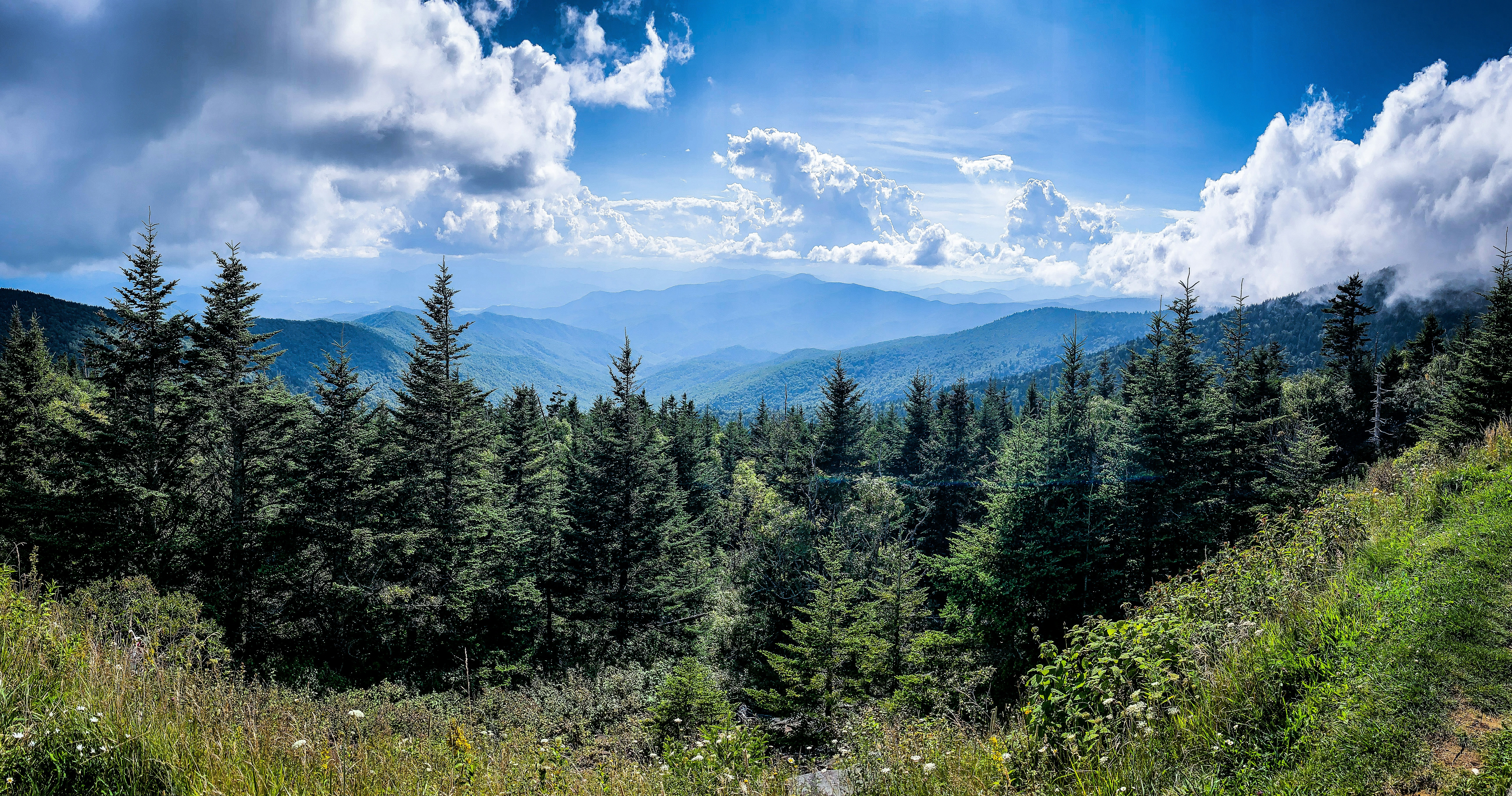 Panoramic view of the Great Smoky Mountains