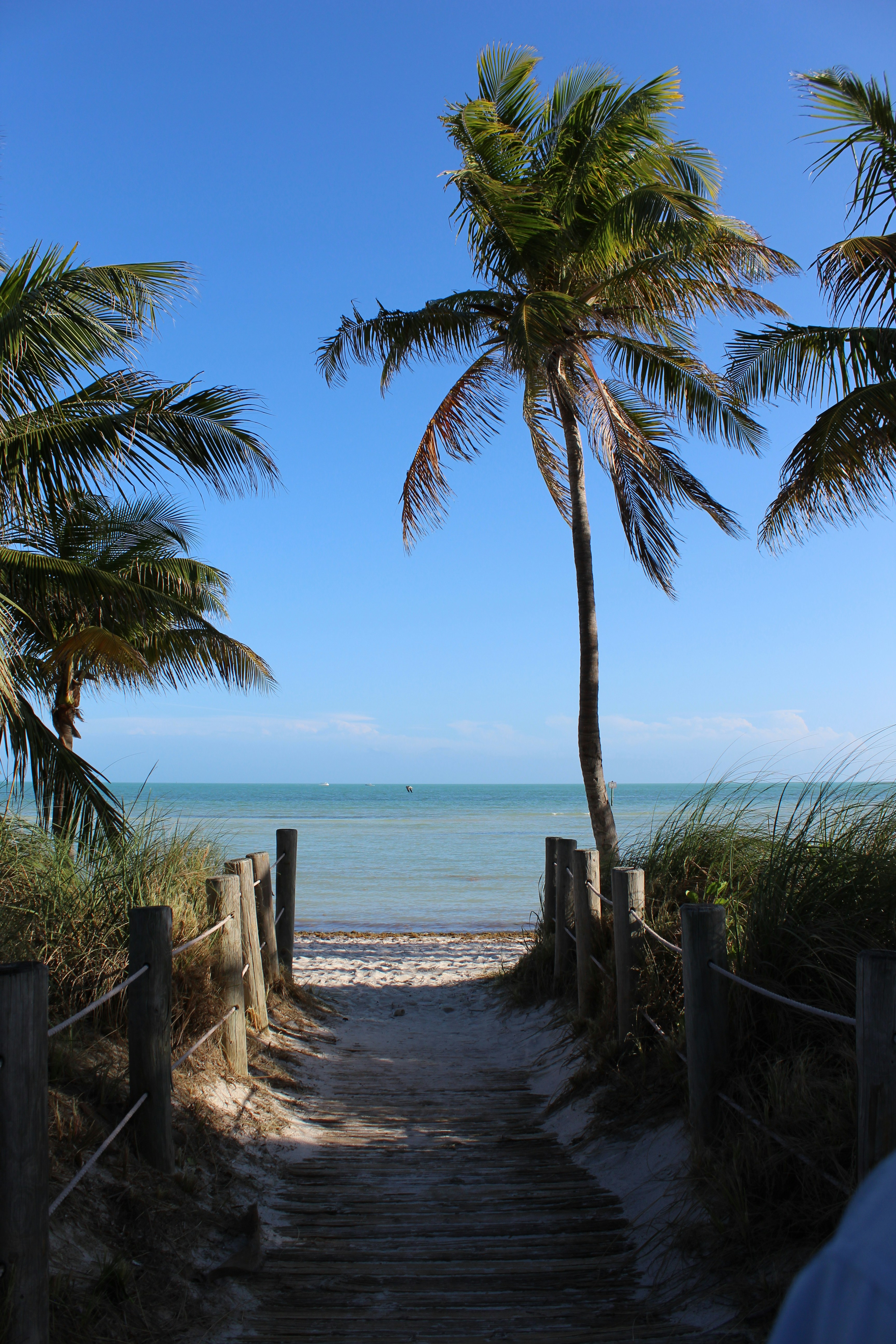 Historic Key West cottage with tropical landscaping