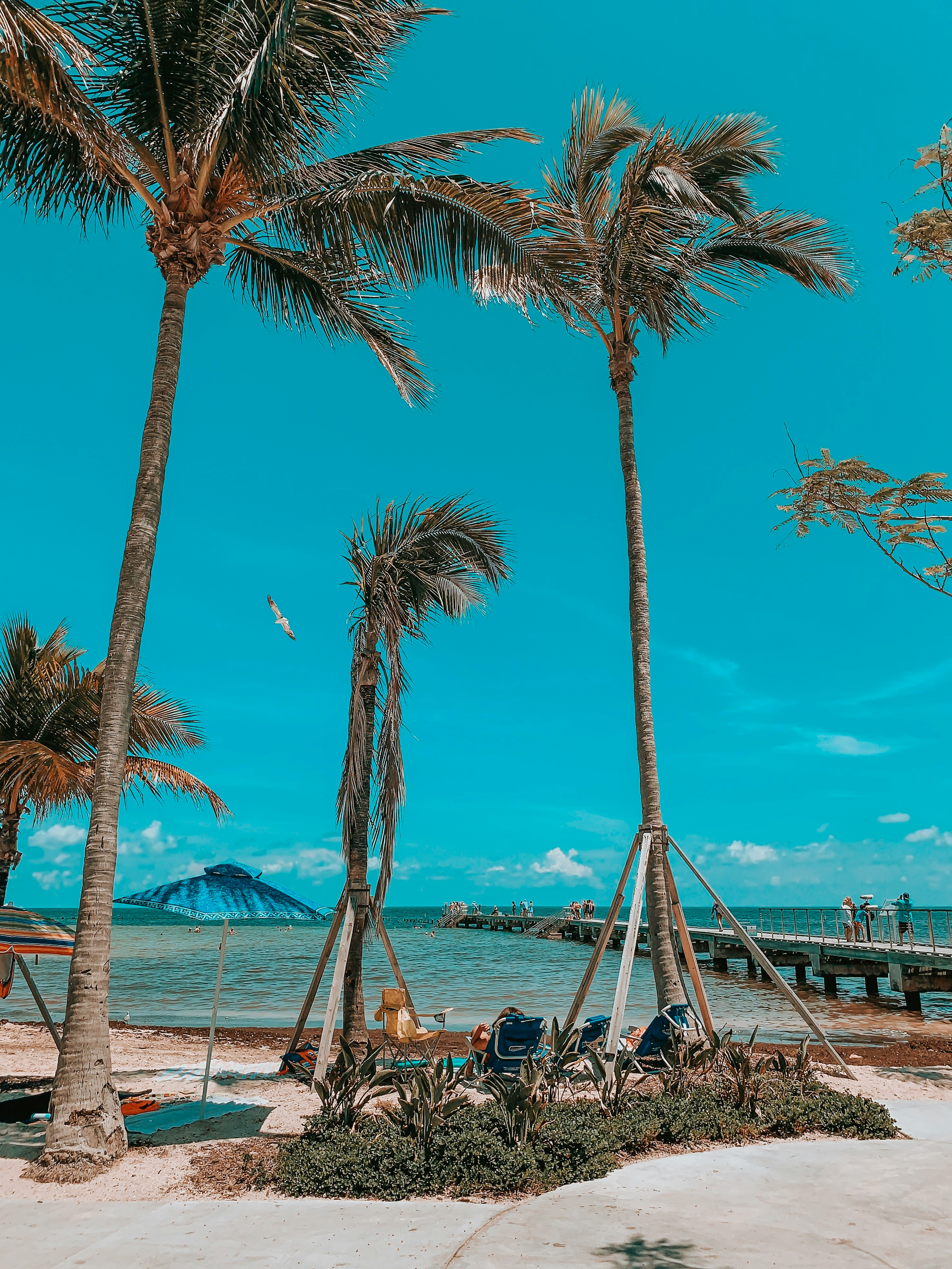 Key West Florida poolside vacation rental