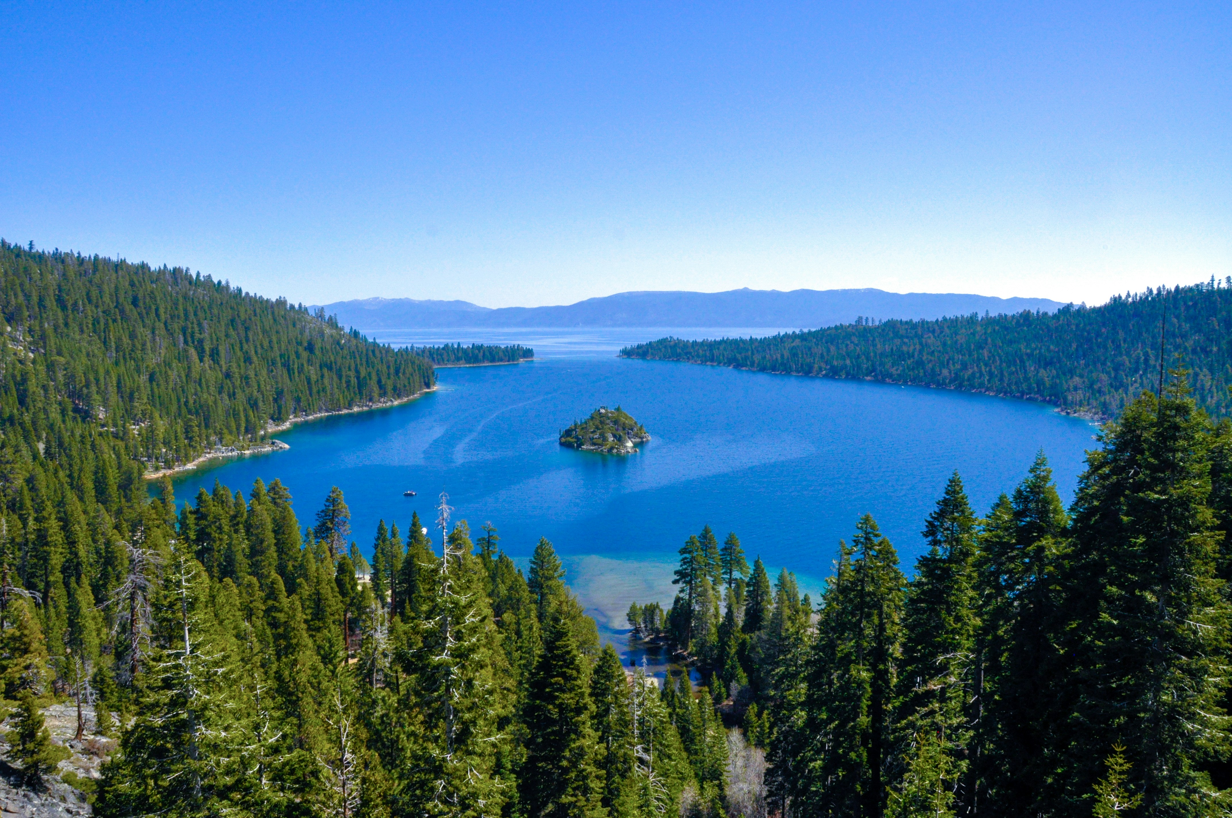 Lake Tahoe cabin surrounded by pine trees with mountain views
