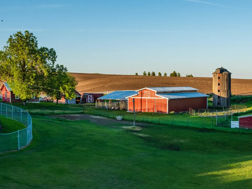 A farmstead with several red barns and a silo beside a fenced pasture