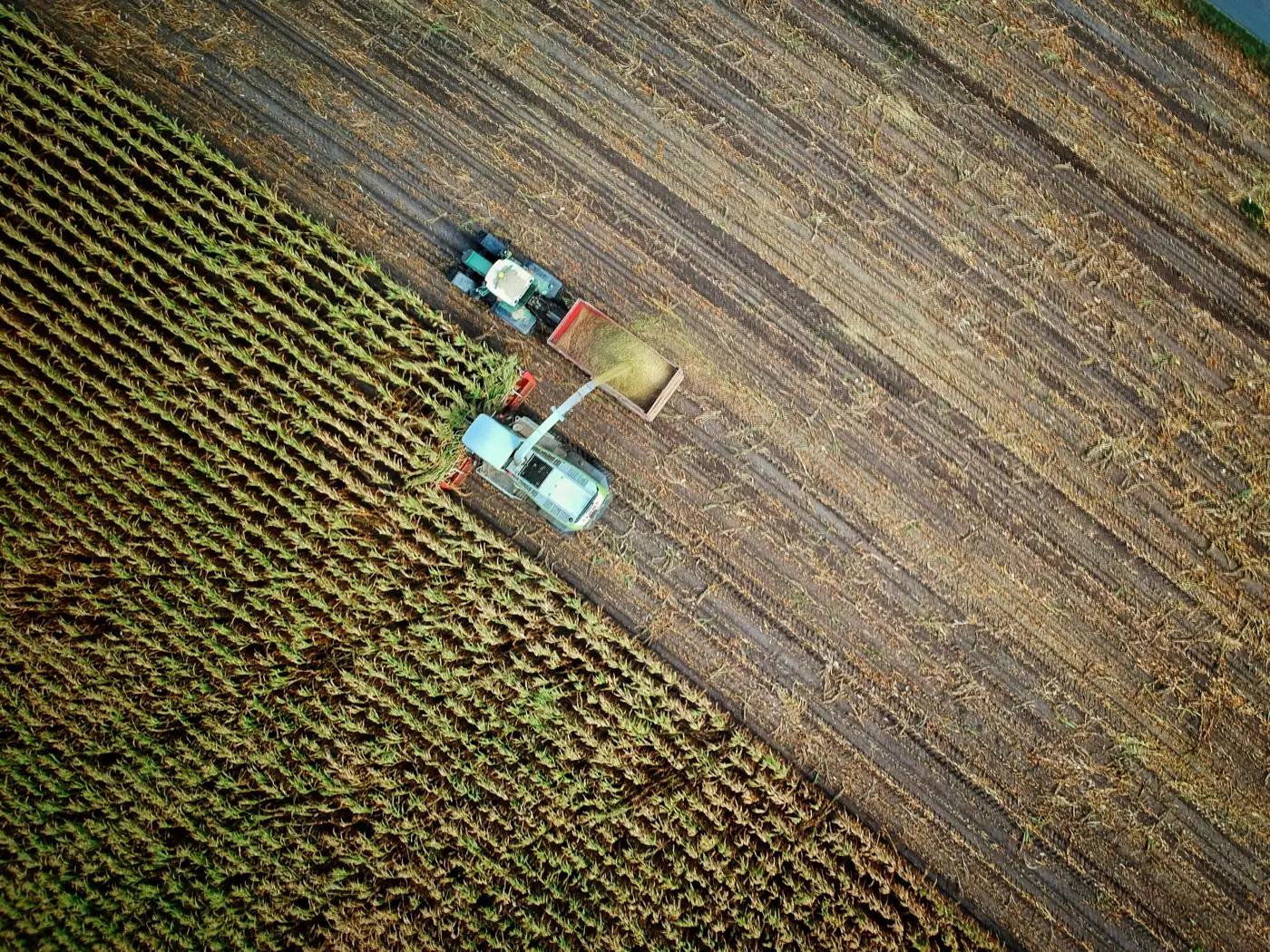 A harvester and a tractor working a field, seen from above