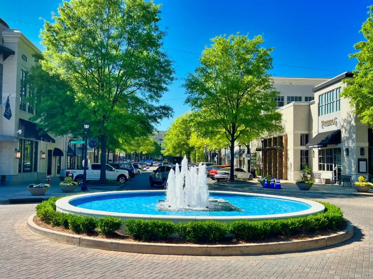 Raleigh property