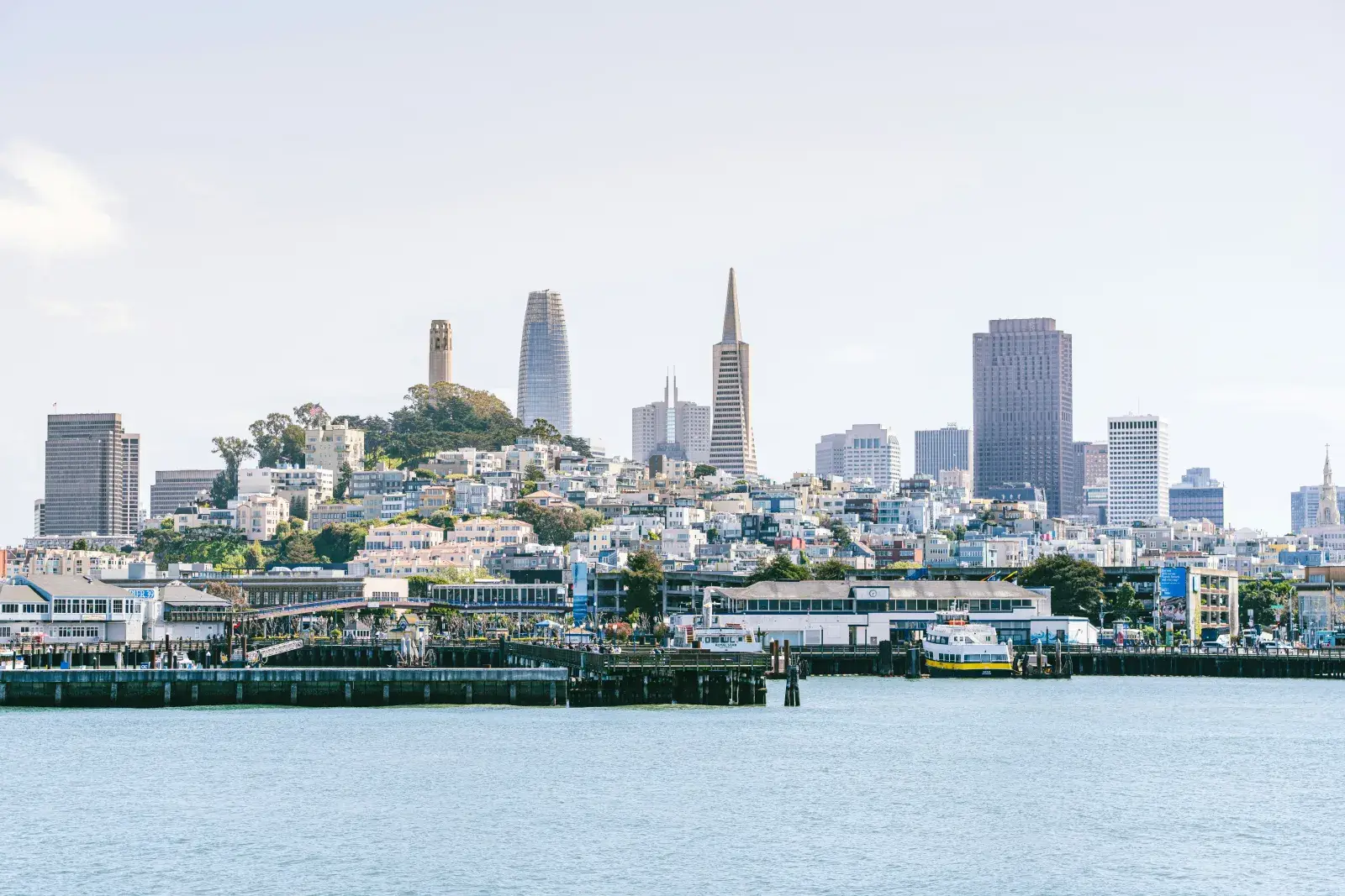 San Francisco luxury Pac Heights / Russian Hill flat interior with bay view