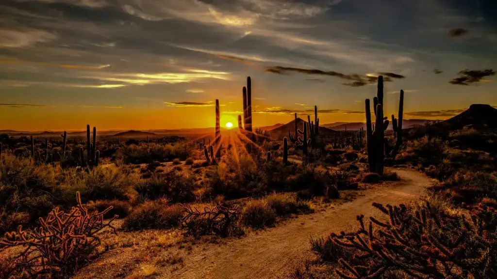 Cost Segregation in Scottsdale, AZ: $45K-$95K Year 1