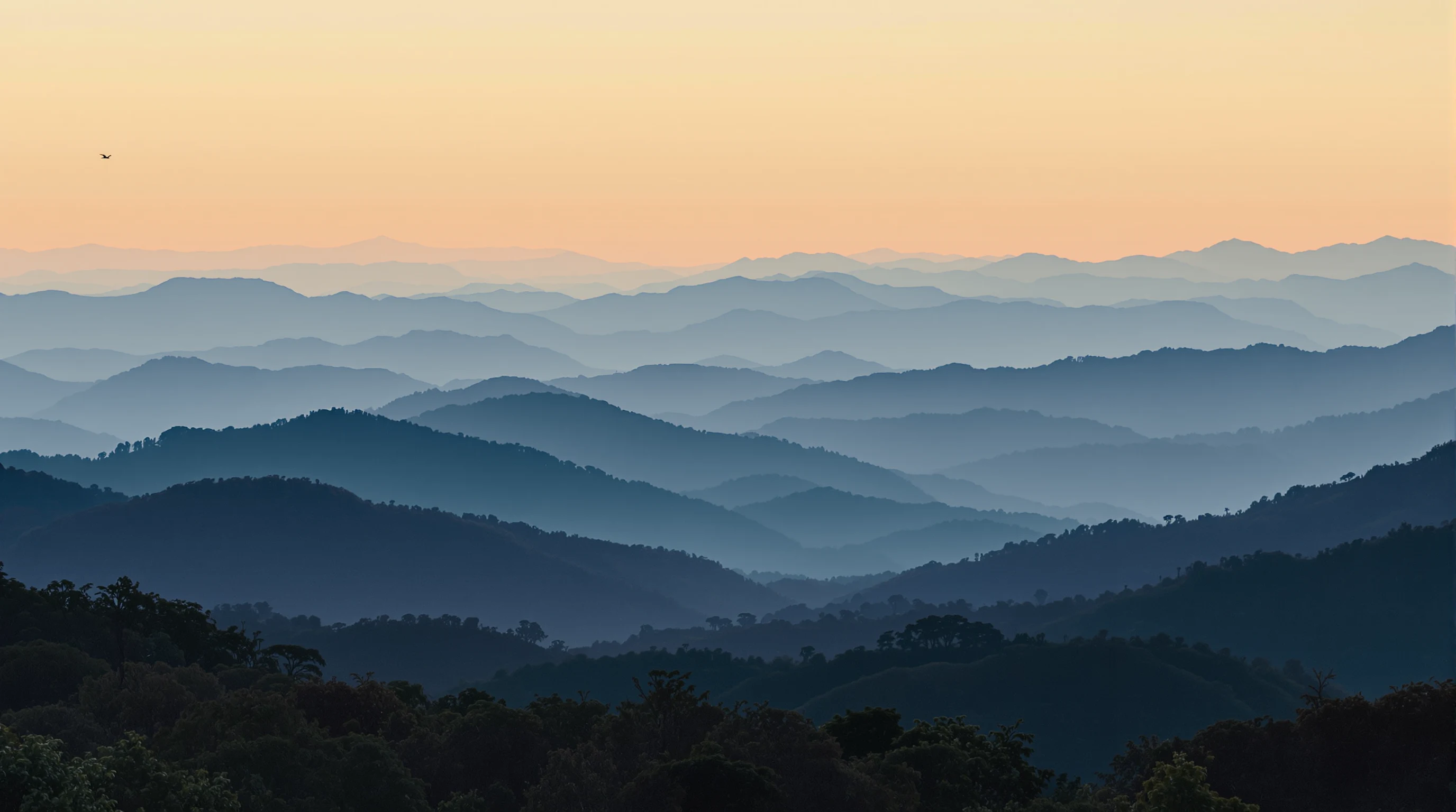 Knoxville, TN — editorial hero