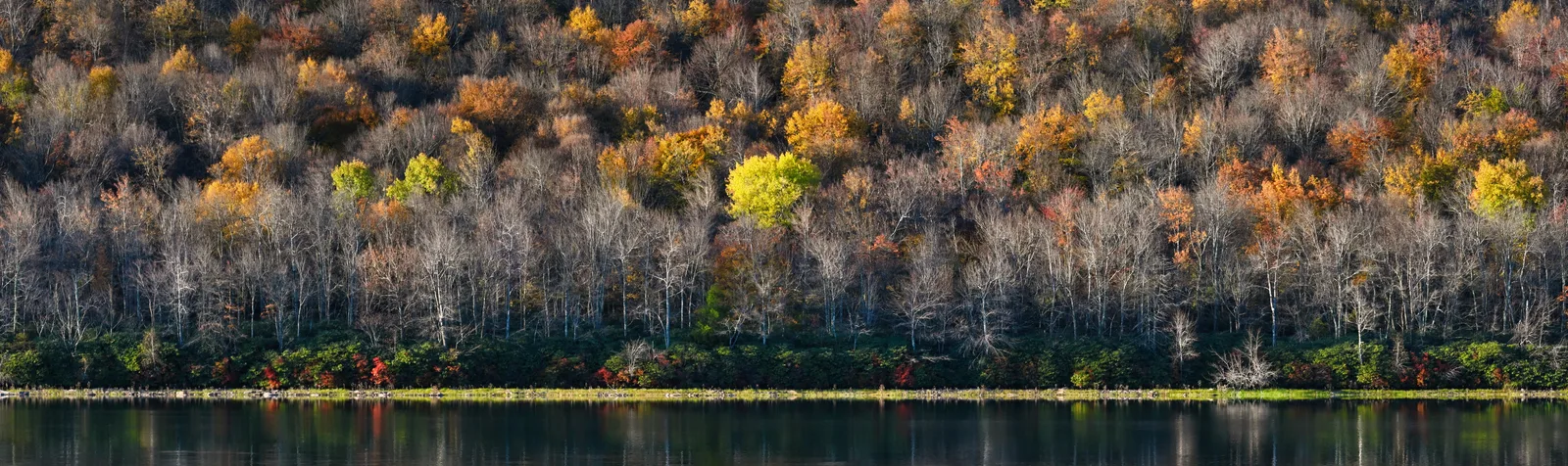 Poconos, PA — editorial hero