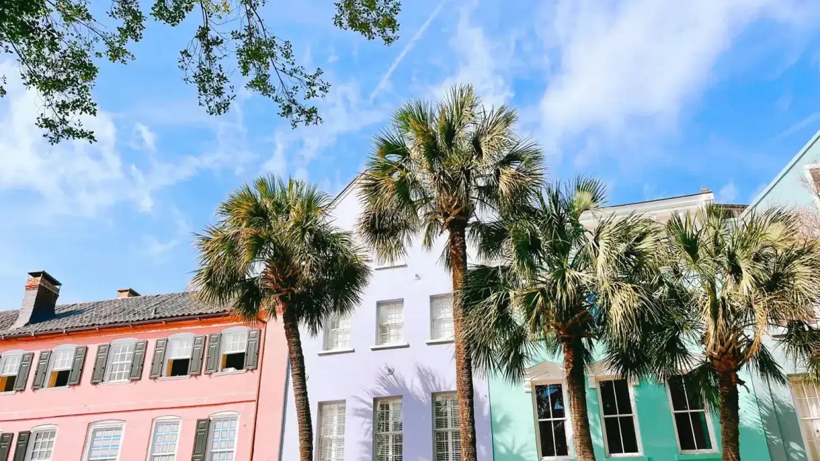 Charleston's historic Rainbow Row under palmetto trees.